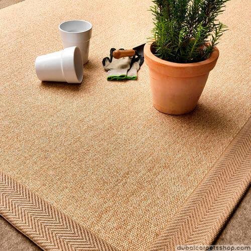 Sisal Carpets 1